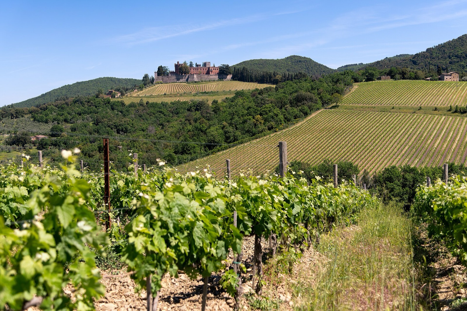 Il Castello di Brolio tra i vigneti del Chianti