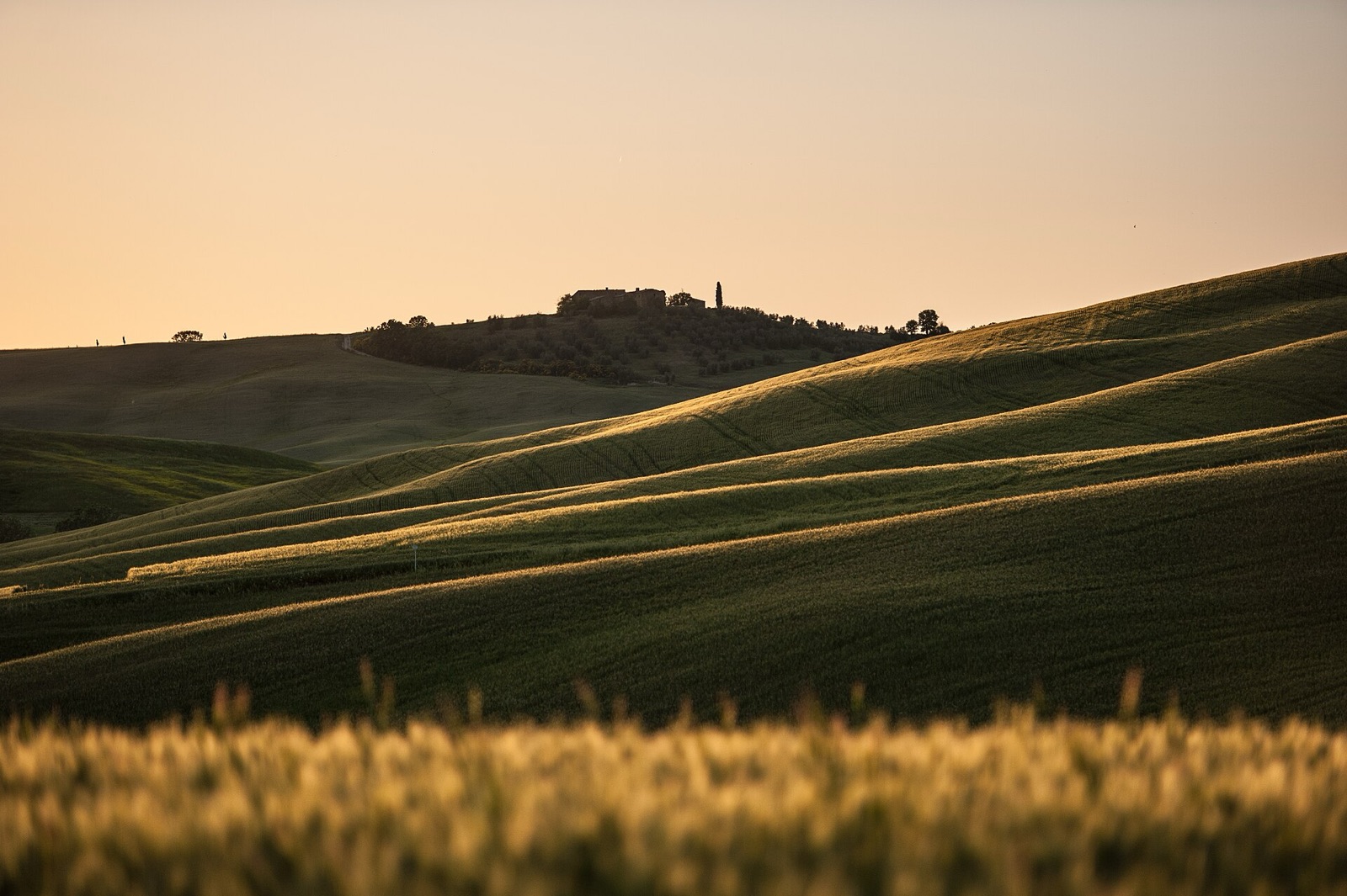 Tuscan hills in evening light