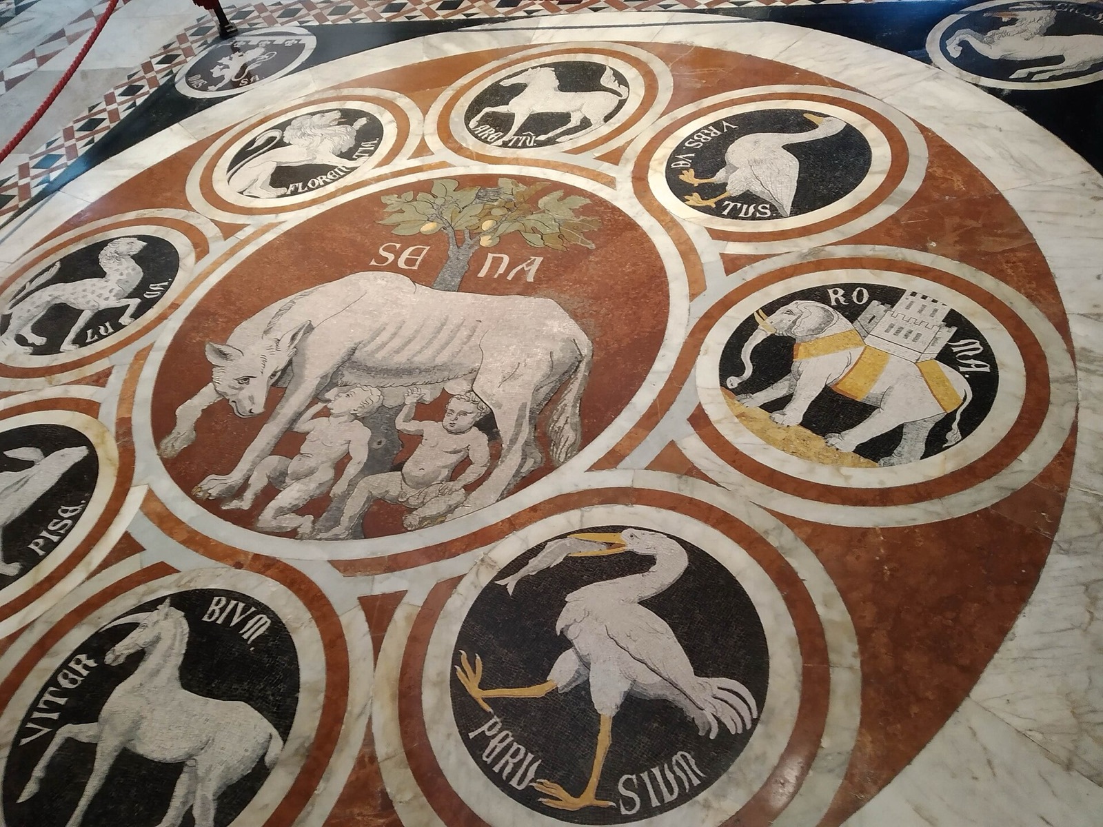 Il pavimento a commesso marmoreo del Duomo di Siena